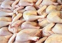 قیمت مرغ به ۶۸۰۰ تومان کاهش یافت