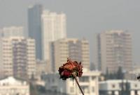 معجزه‌ای برای بیماران قلبی و ریوی در هوای آلوده 