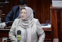 مزارع خشخاش تخریب می‌شوند 